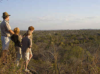 Mkulumadzi Lodge: Bush Walk mit Kindern