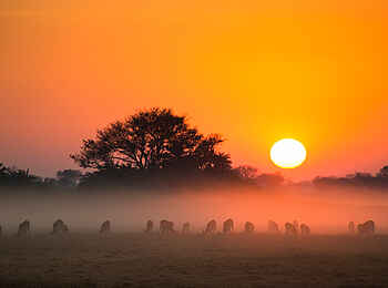 Mukambi Busanga Plains Camp: Sonnenuntergang über Busanga Mukambi Busanga Plains Camp: Sonnenuntergang über Busanga