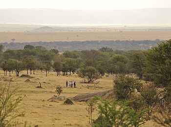 Sayari Camp: Landschaft