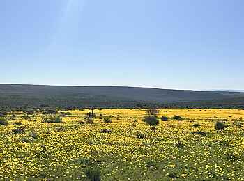 Simbavati Cederberg Ridge Lodge: Eine wunderschöne Landschaft Simbavati Cederberg Ridge Lodge: Eine wunderschöne Landschaft
