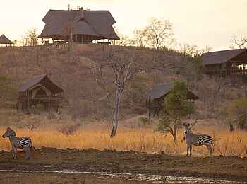 Stanley's Kopje Camp: Zebras vor Stanley's Kopje Stanley's Kopje Camp: Zebras vor Stanley's Kopje