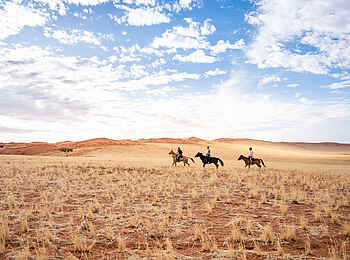 Wolwedans Dune Camp: Reit Safari Wolwedans Dune Camp: Reit Safari