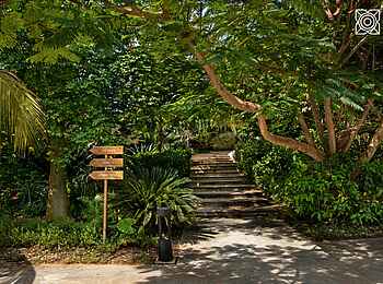 Zuri Zanzibar: Gewürzgarten