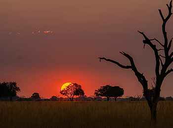 4 Rivers Camp: Sonnenuntergang 4 Rivers Camp: Sonnenuntergang