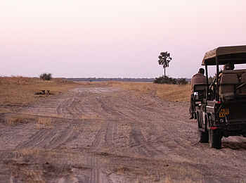 Camp Kuzuma: Game Drive Camp Kuzuma: Game Drive