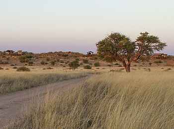 Teufelskrallen Tented Lodge: Blick aufs Camp Teufelskrallen Tented Lodge: Blick aufs Camp