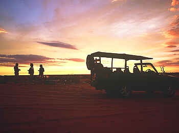 Bagatelle Kalahari Game Ranch: Pirschfahrt in der Dämmerung