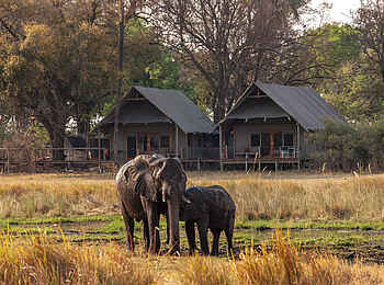 Chitabe Lediba Camp: Besuch am Camp