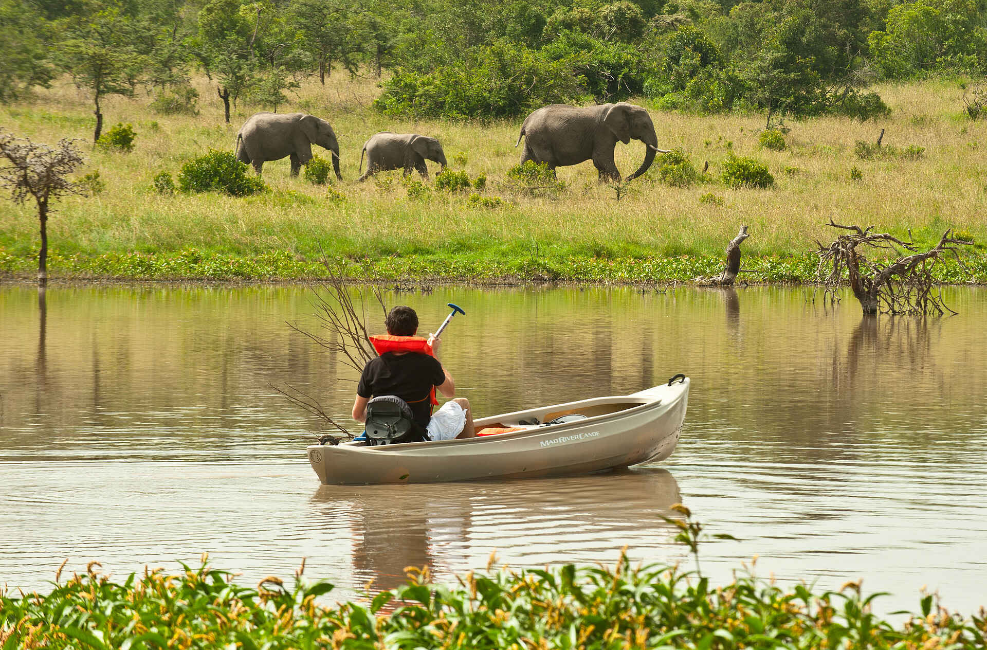 Kenia, Kicheche Camps, Kicheche Laikipia Camp, Laikipia-Plateau, Ol Pejeta Conservancy, Bootssafari, Bootstour, Elefanten, Kanu, Afrikarma, Afrikarma Safaris, Afrikarma Safaris – Wildnis. Hautnah., afrikarma.de