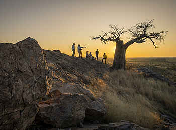 Mashatu Tent Camp: Walking-Safari zum Sonnenuntergang Mashatu Tent Camp: Walking-Safari zum Sonnenuntergang