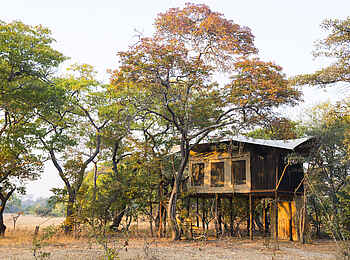 Mukambi Fig Tree Bush Camp: Ein Gästezelt unter Bäumen