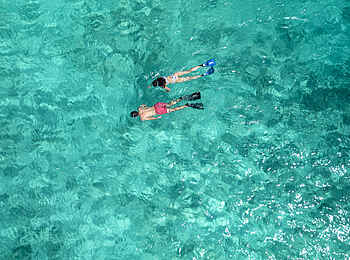 North Island: Schnorcheln in kristallklarem Wasser