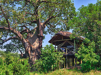 Tarangire River Camp: Weitsicht des Gästezelts Tarangire River Camp: Weitsicht des Gästezelts