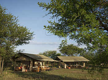 Ubuntu Migration Camp: Messe Zelte