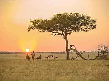 Ubuntu Migration Camp: Sundowner