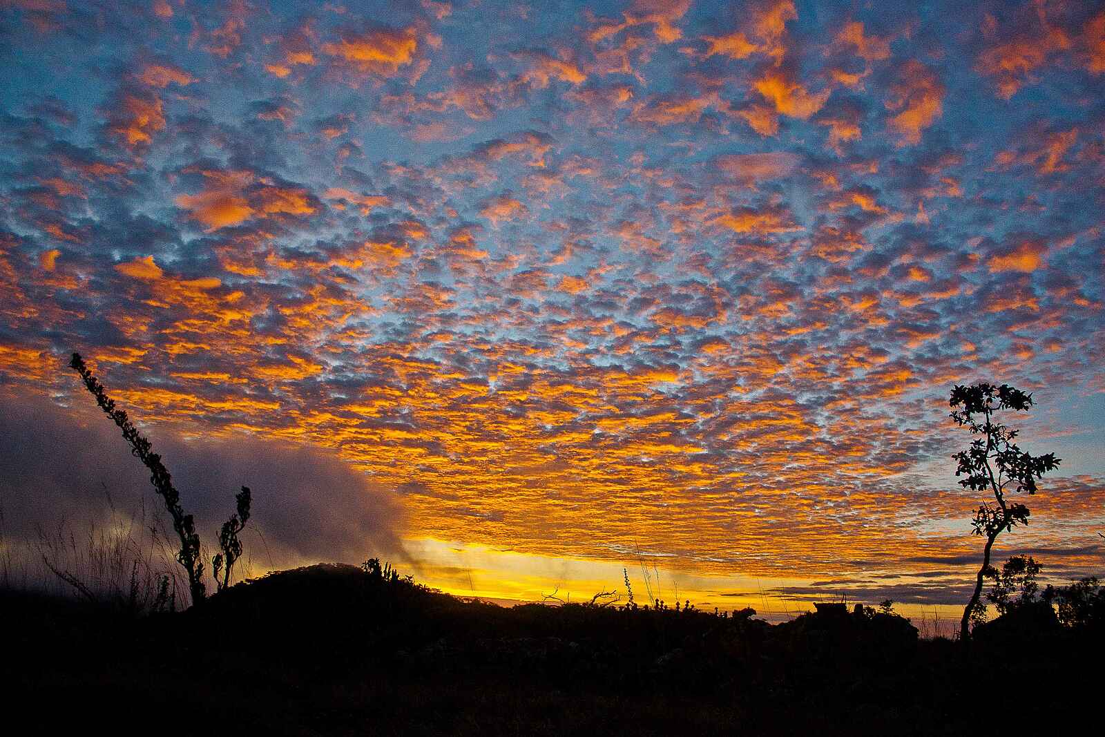 Wasa Lodge: Morgenröte Wasa Lodge: Morgenröte