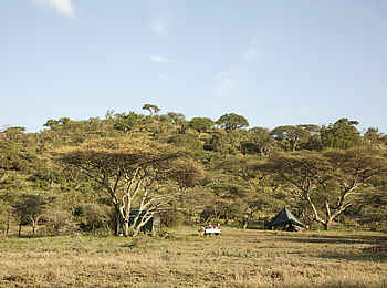 Wayo Nabi Green Camp: Privates Essen Wayo Nabi Green Camp: Privates Essen