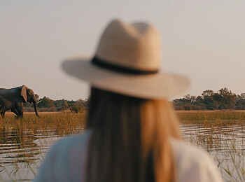 Chief's Camp: Elefantenkontakt in der Lagune