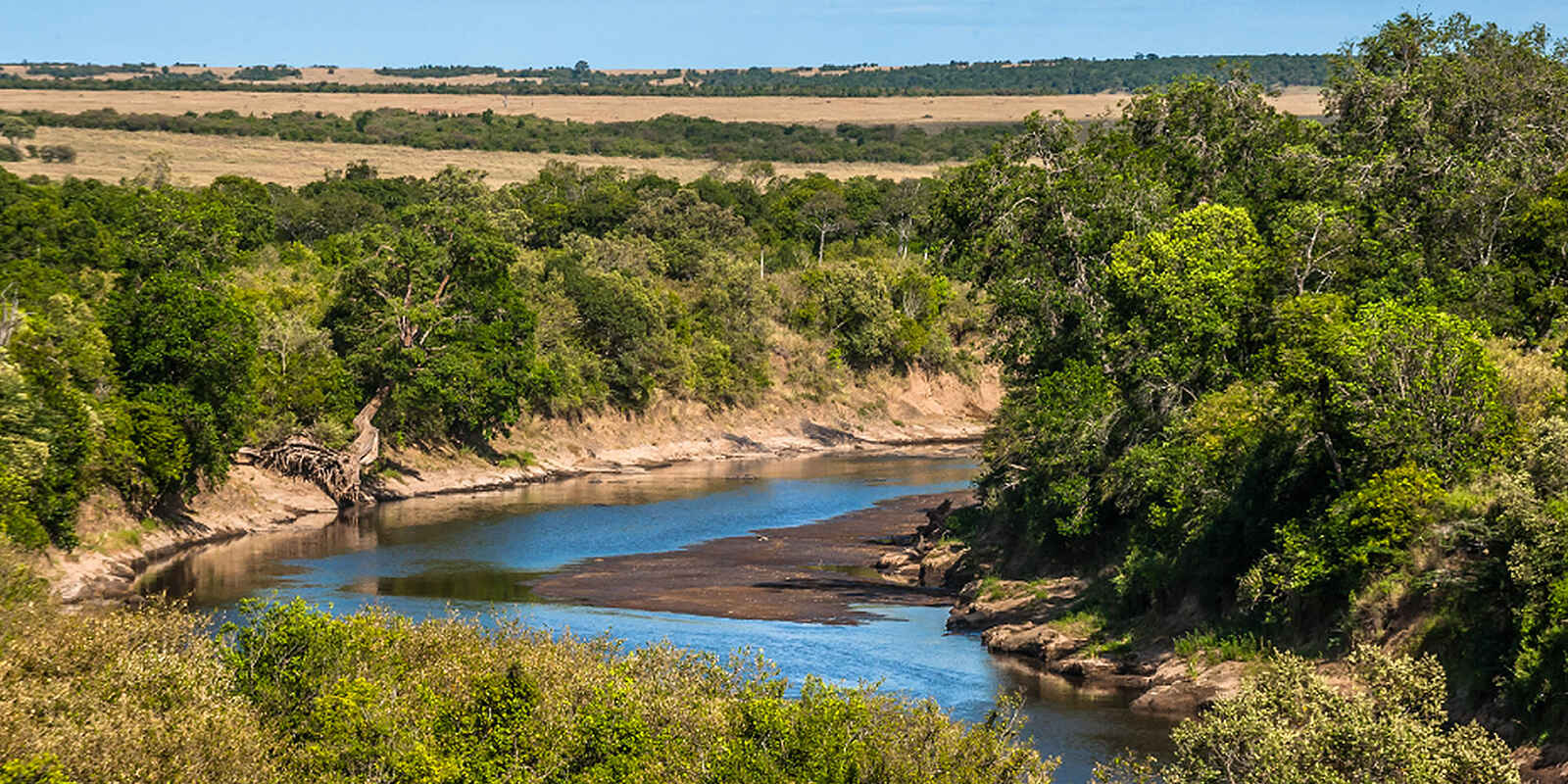 Entim Masai Mara: Mara River Entim Masai Mara: Mara River