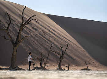 Kwessi Dunes Lodge: Gestorbene Bäume im Dead Vlei