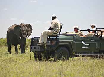 &Beyond Ngala Safari Lodge: Begegnung mit einem Elefanten