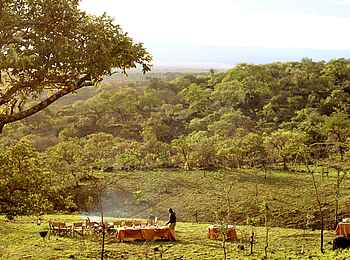 Campi ya Kanzi Lodge: Busch Dinner Campi ya Kanzi Lodge: Busch Dinner