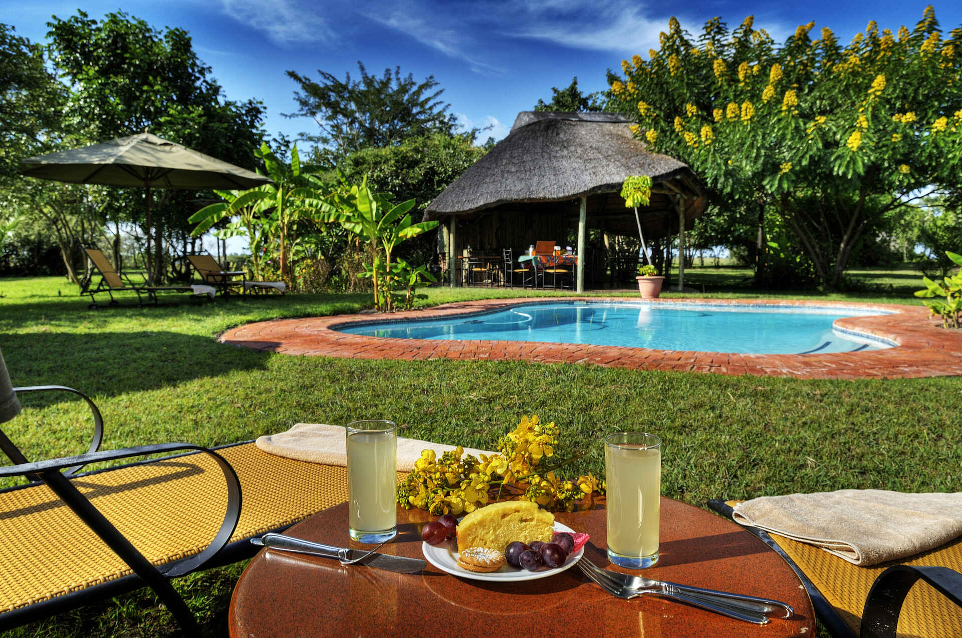 Caprivi Floodplains, Caprivi Strip, Caprivi-Streifen, Chobe National Park, Chobe River, Chobe Savanna Lodge, Desert & Delta, Elefanten, Kasane, Namibia, Thatched Roof, Liegestühle, Sala, Swimming Pool, Air Conditioning