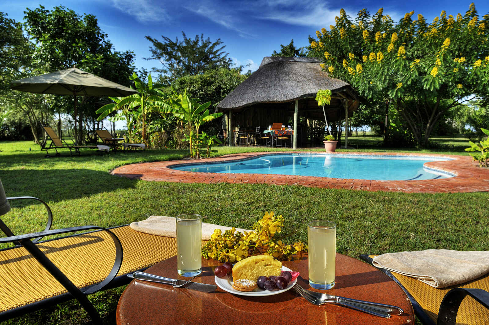 Chobe Savanna: Am Pool Chobe Savanna: Am Pool