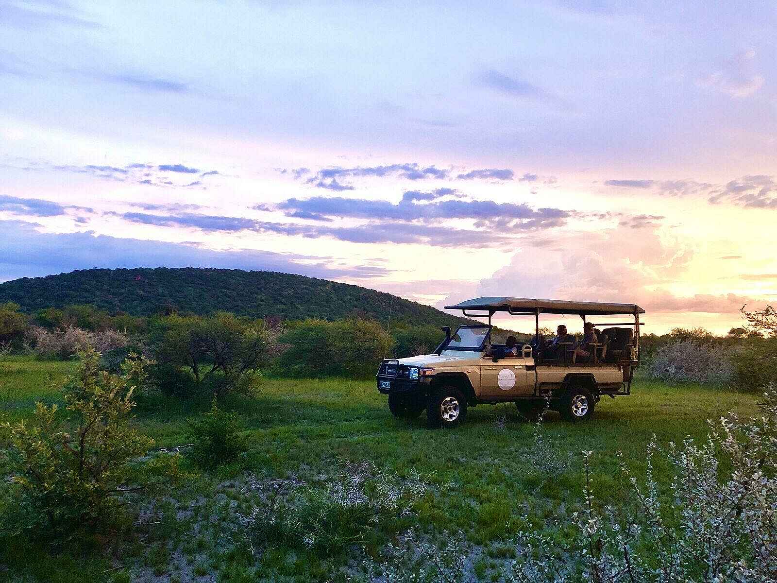 Great Tsau Hill Camp: Pirschfahrt Great Tsau Hill Camp: Pirschfahrt