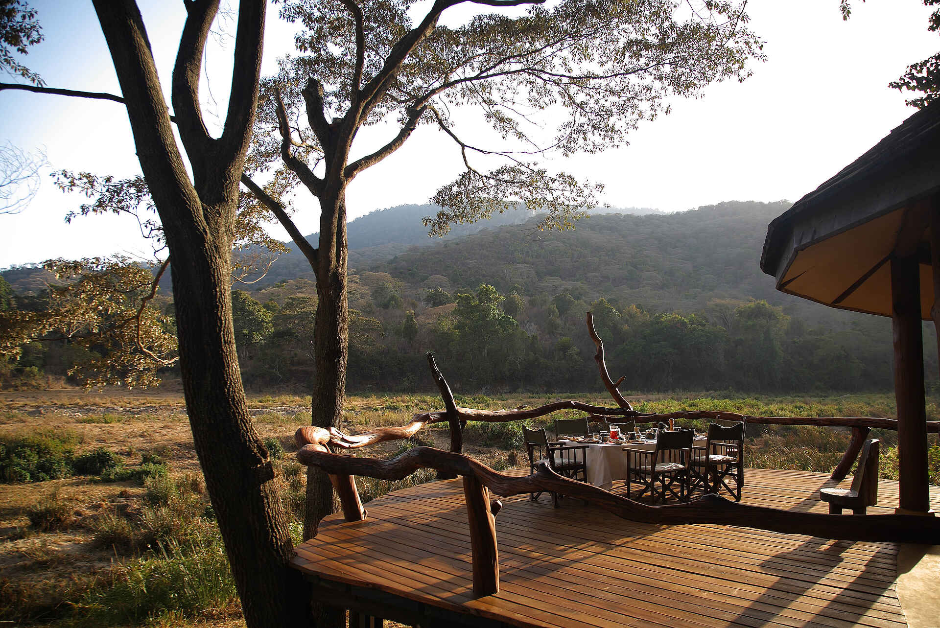 Afrikarma, afrikarma.de, Bäume, Brazzameerkatze, Buschwanderung, Cheli & Peacock, Cheli and Peacock, Grevyzebra, Guided Walk, Guided Walks, Kenia, Kenya, Kitich, Kitich Camp, Mathews Mountain Range, Mathew's Mountain Range, Namunyak, Namunyak Conservation, Namunyak Reserve, Namunyak Schutzgebiet, Ngeng, Ngeng River, Nordkenia, Northern Kenya, Panther, Regenwald, Reise, Reiseveranstalter, Safari zu Fuß, Schwarzer Panther, Seidenturako, Stummelaffe, Wald, Wildnis, www.afrikarma.de, Aussicht, Essen, Frühstück, Hauptgebäude, Main Area, Main Lounge