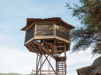 Soroi Larsens Camp: Das Starbed Soroi Larsens Camp: Das Starbed