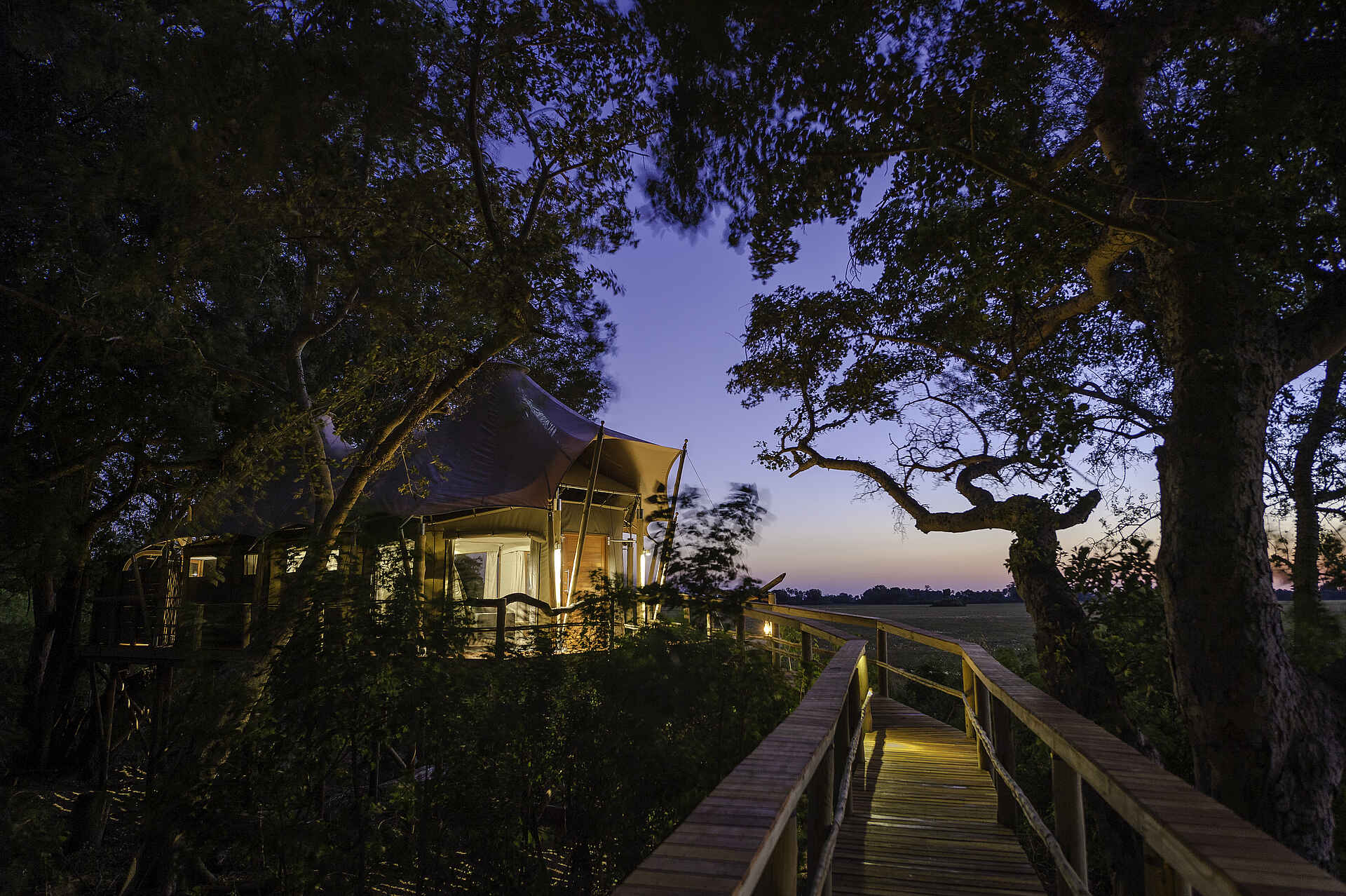 Kwetsani Camp: Gehweg zum Chalet Afrikarma, Afrikarma Safaris, Afrikarma Safaris - Wildnis. Hautnah., Afrikarma.de, Kwetsani Camp, Ausblick auf die Landschaft, Bäume, erhöhter Gehweg, Treehouse Chalet