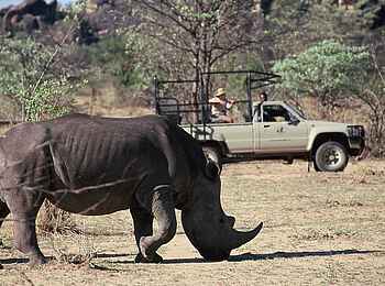 Big Cave Camp: Unterwegs im Whovi Game Park