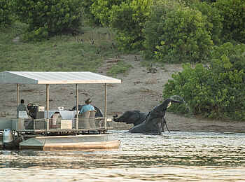 Chobe Game Lodge: Boots Safari