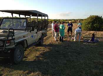 De Hoop Collection Lodge: Nature Drive De Hoop Collection Lodge: Nature Drive