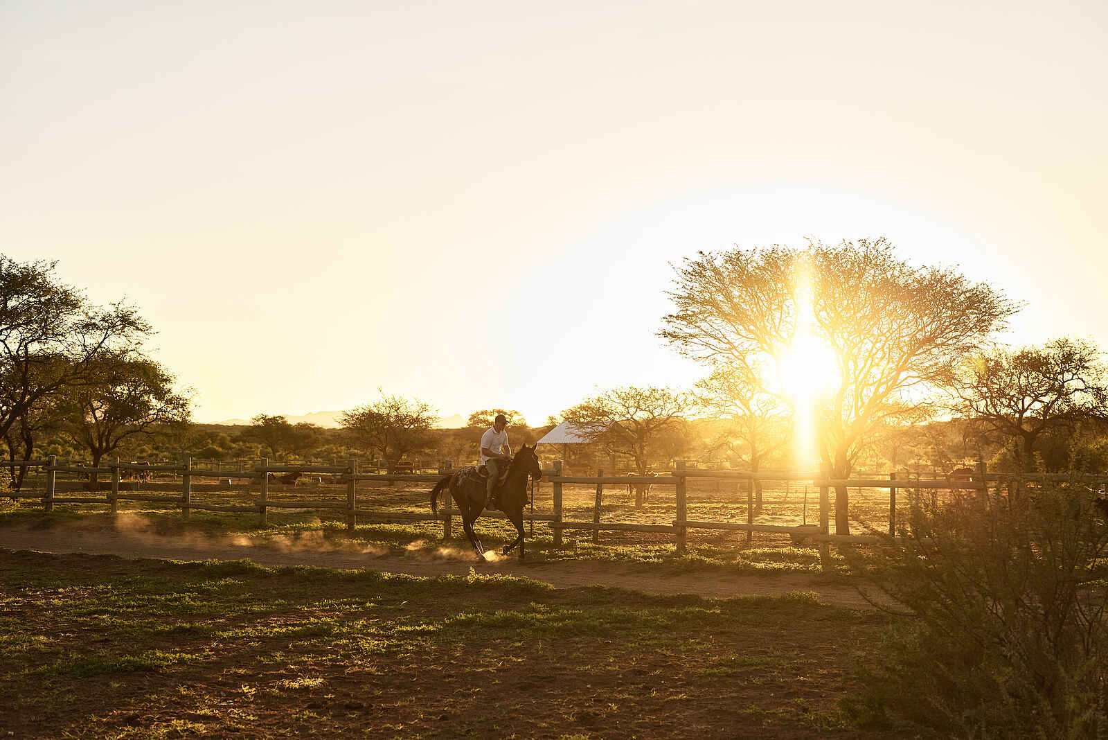 Gmundner Lodge: Reitausflug Gmundner Lodge: Reitausflug