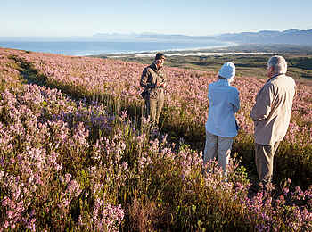 Grootbos Private Villas: Walking Safari Grootbos Private Villas: Walking Safari