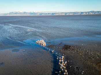 Kisima Ngeda Camp: Der Eyasi See Kisima Ngeda Camp: Der Eyasi See