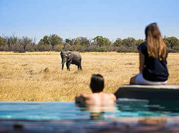 Little Machaba Camp: Ein Elefant blickt auf den Infitiy Pool vor der Hauptlodge