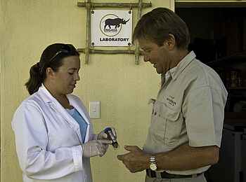 Little Ongava: Nashornforscher Little Ongava: Nashornforscher