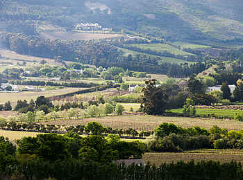 Mont Rochelle Hotel & Vineyard: Umgebung Mont Rochelle Hotel & Vineyard: Umgebung