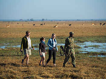 Mukambi Busanga Plains Camp: Busanga-Buschwanderung Mukambi Busanga Plains Camp: Busanga-Buschwanderung