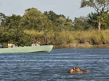 Mukambi Fig Tree Bush Camp: Die Sichtung eines Nilpferds bei einer Bootstour