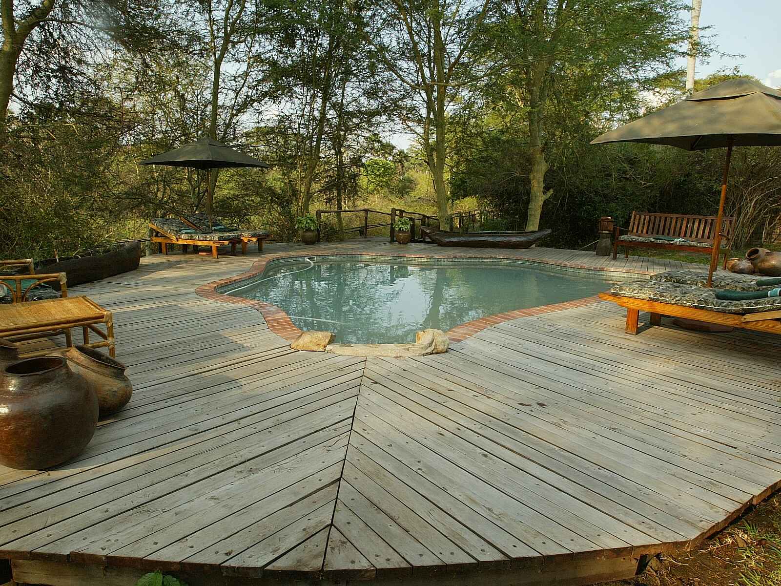 Mvuu Lodge: Pool Mvuu Lodge: Pool