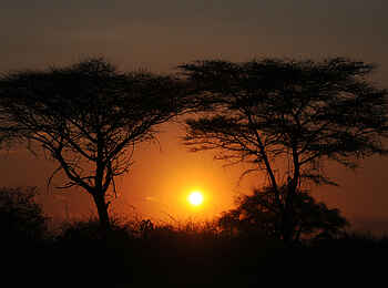 Mwagusi Safari Camp: Sonnenuntergang