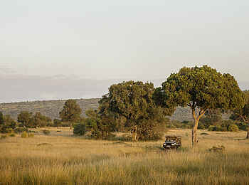Ngare Serian Camp: Early Morning Drive