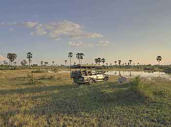 Nxabega Okavango Tented Camp: Game Drive