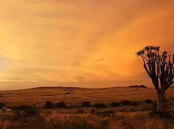 Okutala Lodge: Trockenland Okutala Lodge: Trockenland