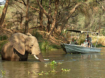 Old Mondoro Camp: Elefant in einem Seitenarm des Sambesi
