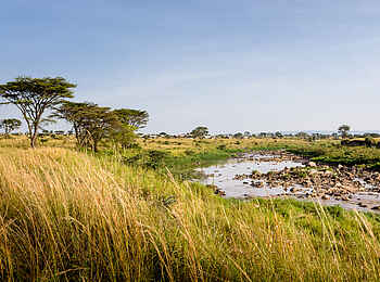 Singita Mara River Tented Camp: Die Serengeti Singita Mara River Tented Camp: Die Serengeti